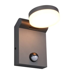Vonkajšie svietidlo so senzorom pohybu (výška  19 cm) Adour – Trio